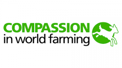 Home Page GridCompassion in world farming
