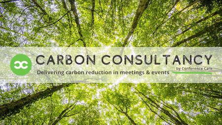 Carbon Consultancy Header